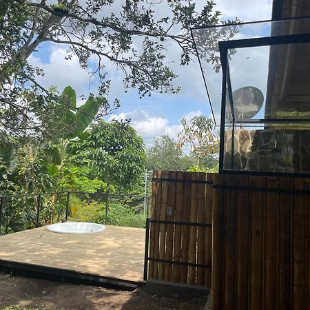 Ecohotel Alma Calarcá Dış mekan fotoğraf