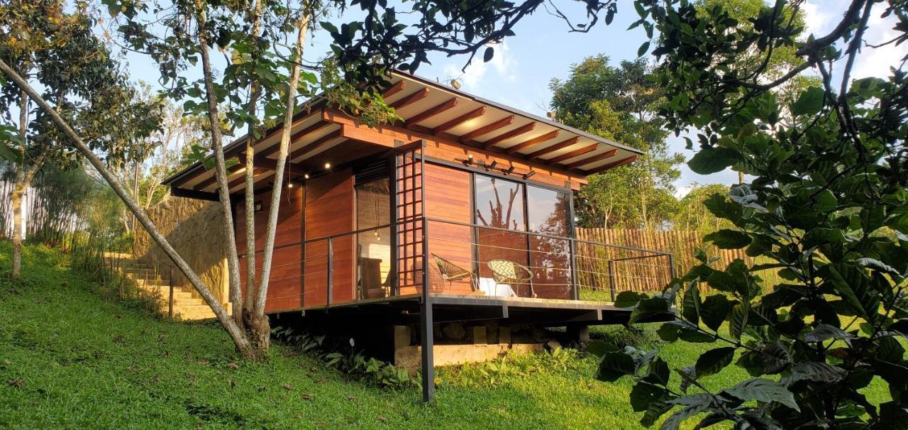 Ecohotel Alma Calarcá Dış mekan fotoğraf