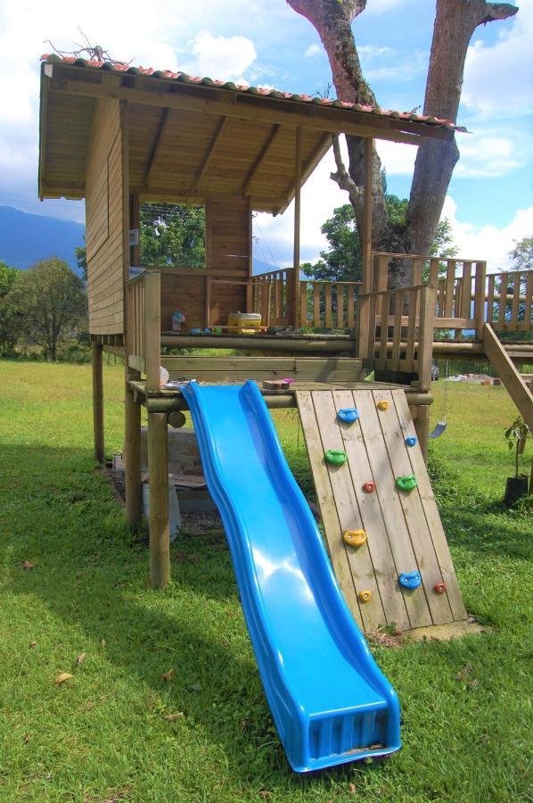Ecohotel Alma Calarcá Dış mekan fotoğraf
