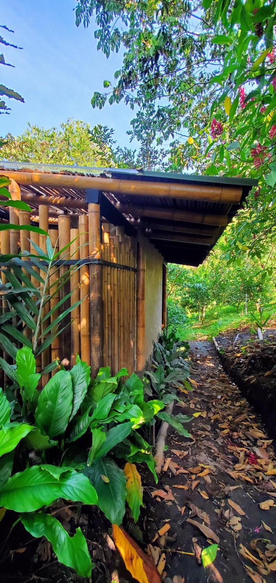 Ecohotel Alma Calarcá Dış mekan fotoğraf