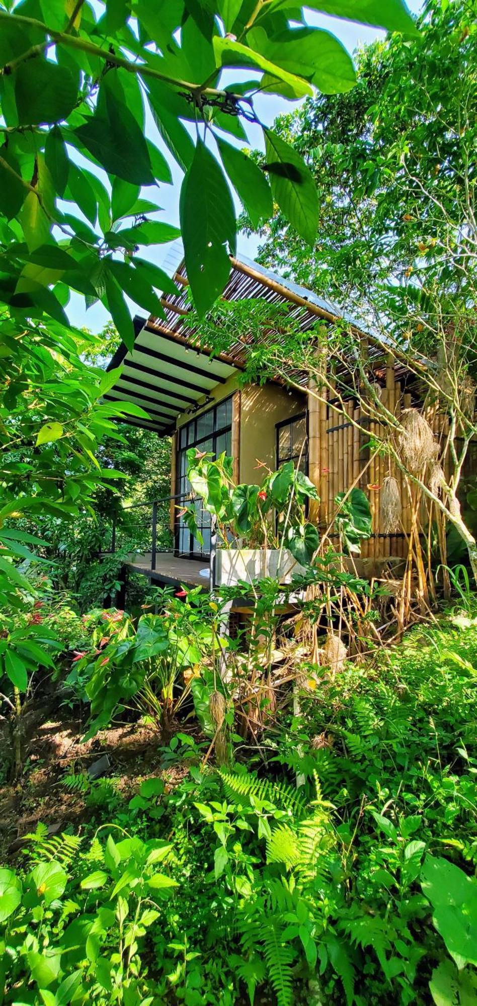 Ecohotel Alma Calarcá Dış mekan fotoğraf