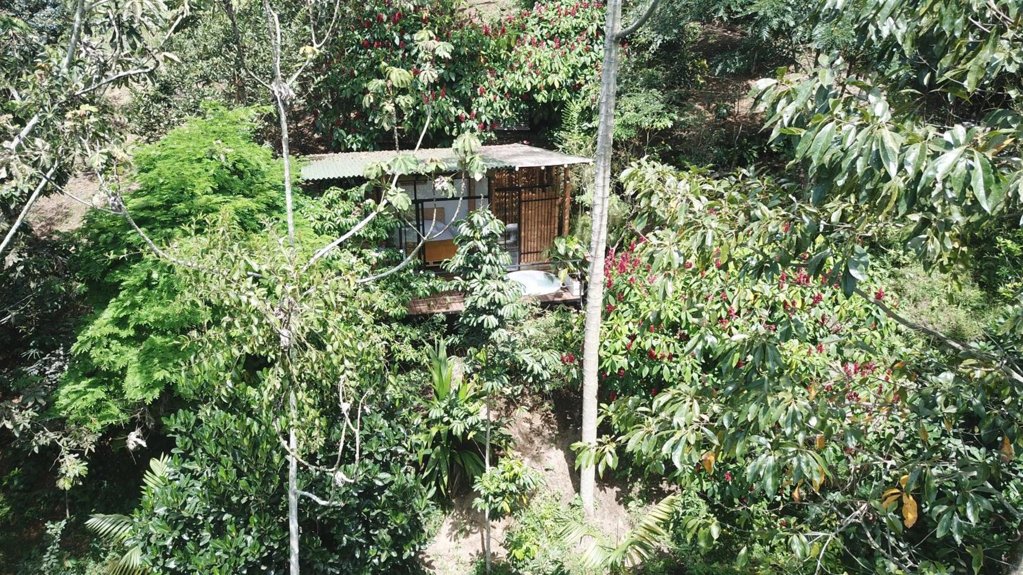 Ecohotel Alma Calarcá Dış mekan fotoğraf
