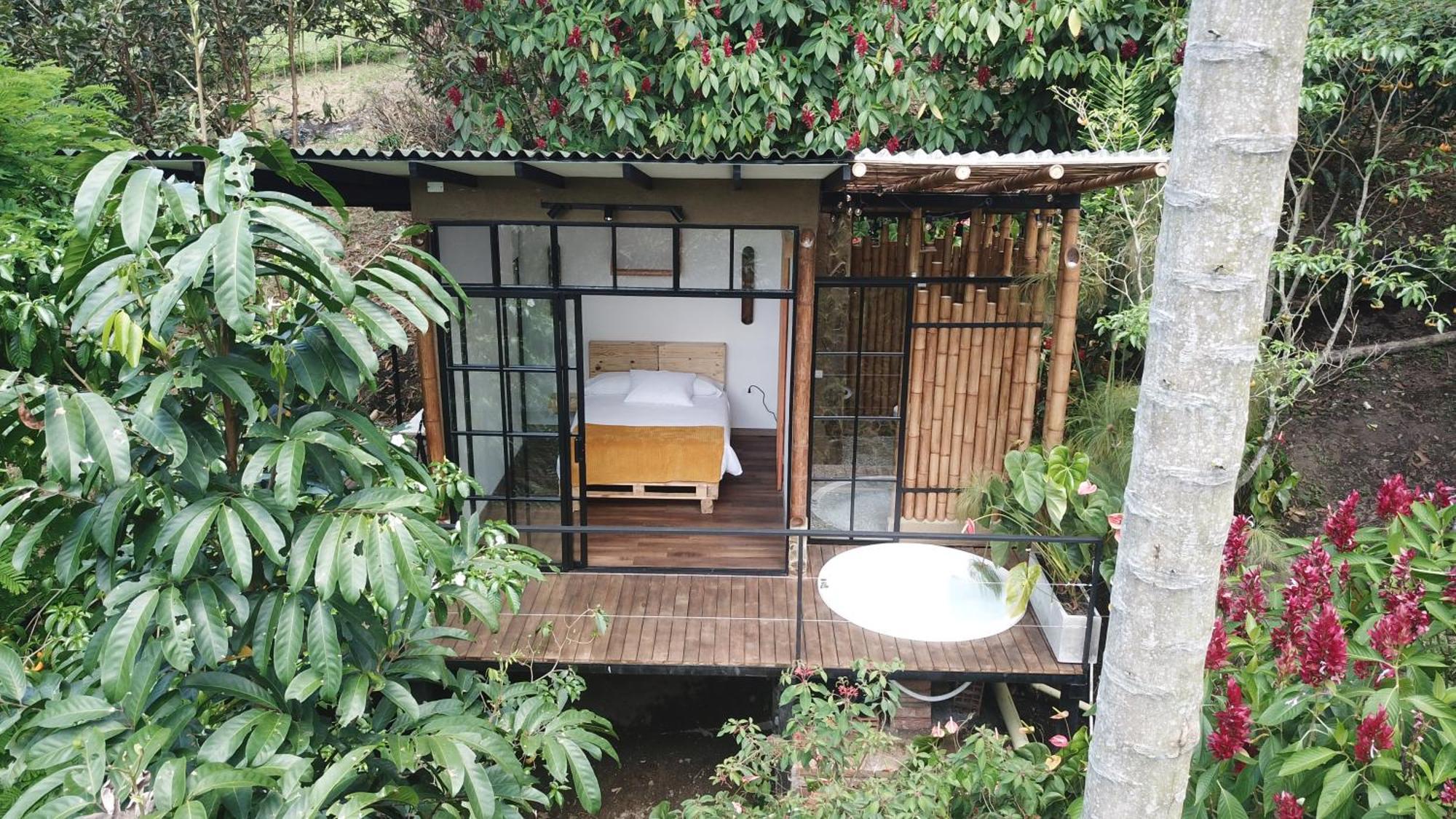 Ecohotel Alma Calarcá Dış mekan fotoğraf