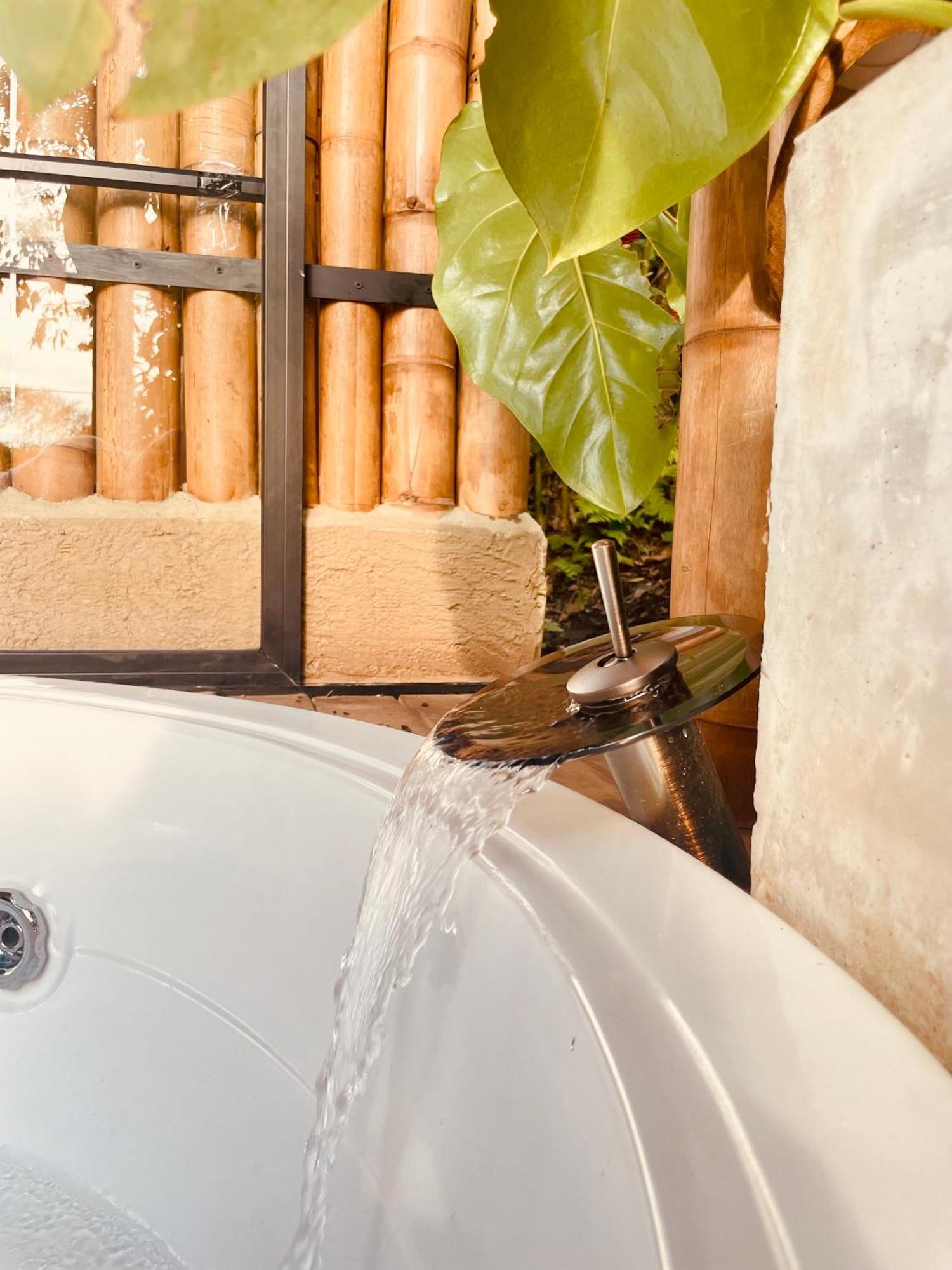 Ecohotel Alma Calarcá Dış mekan fotoğraf