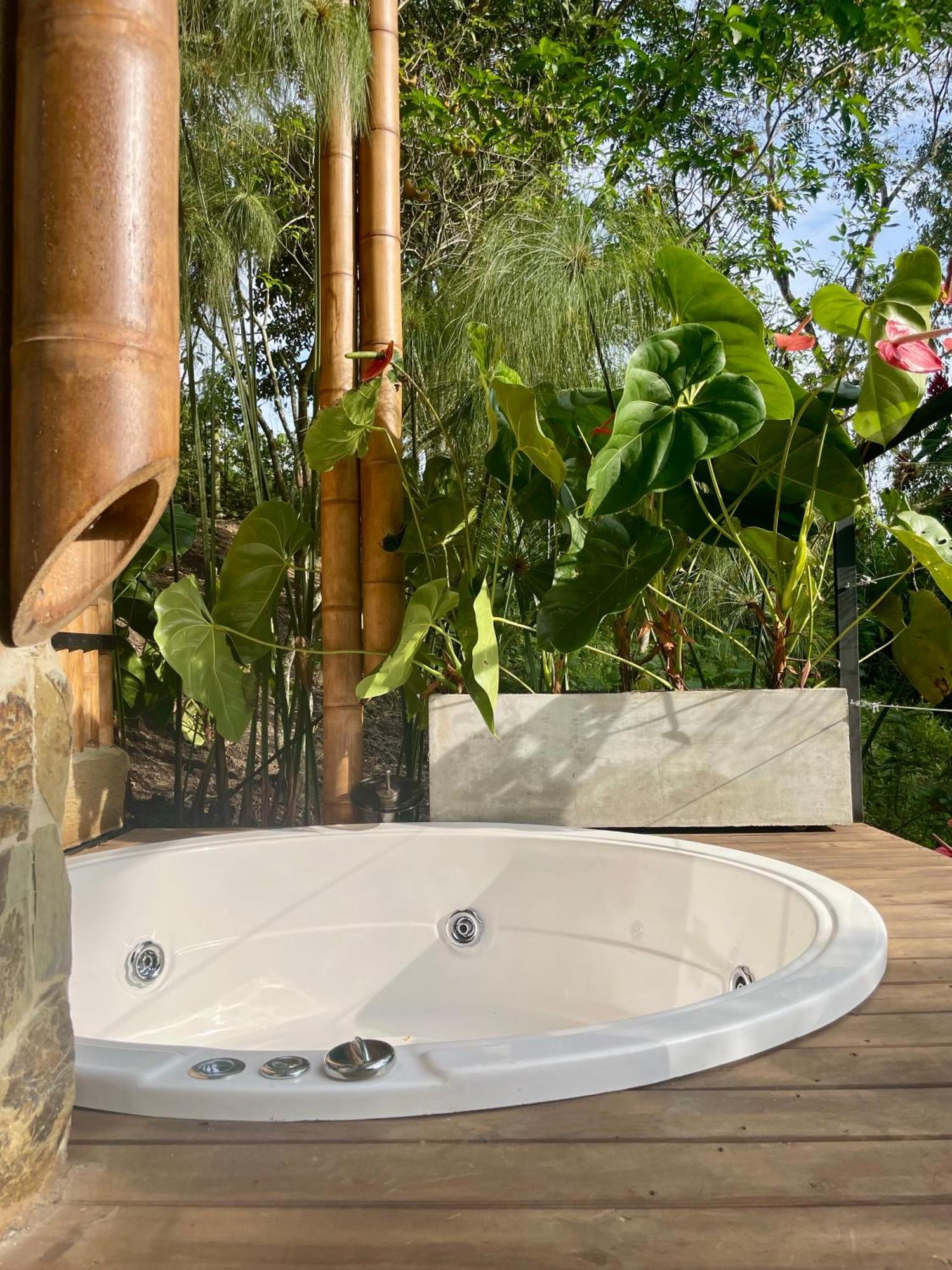 Ecohotel Alma Calarcá Dış mekan fotoğraf