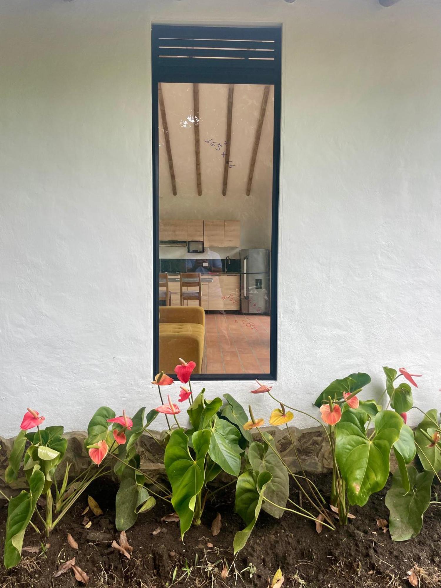 Ecohotel Alma Calarcá Dış mekan fotoğraf